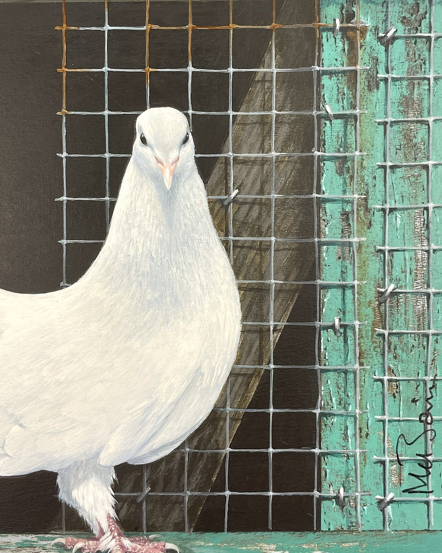 Clive McBain - Dove in the Loft